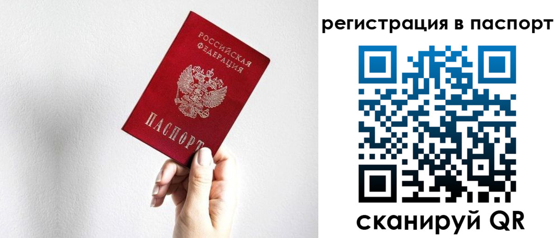 прописка законно в Гвардейске